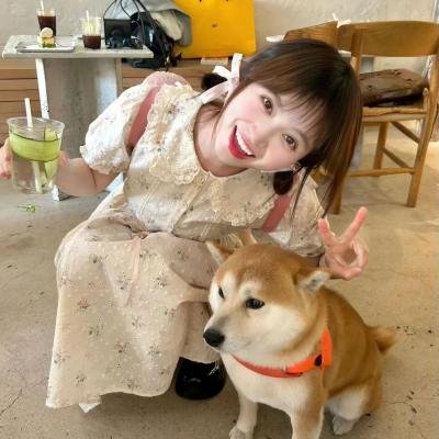 六姊妹
